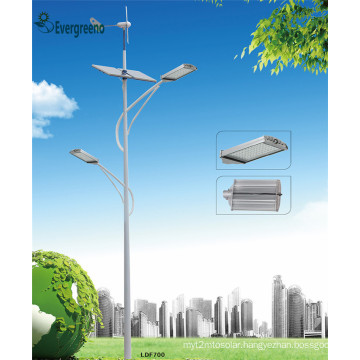 Solar Hybrid Street Light Solar Wind Power 50W